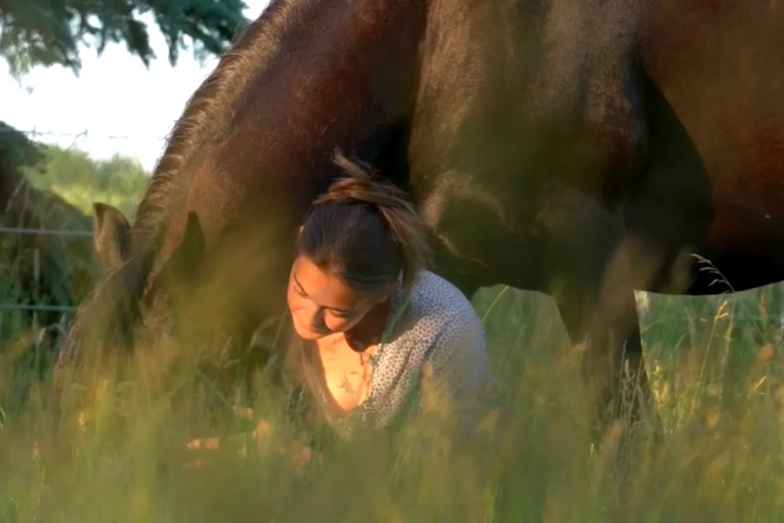 Frau kniet im hohen Gras, ihr Pferd grast dicht bei ihr in der Abendsonne